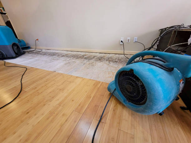 Professional Flood Damage Cleanup technician working in Louise, TX